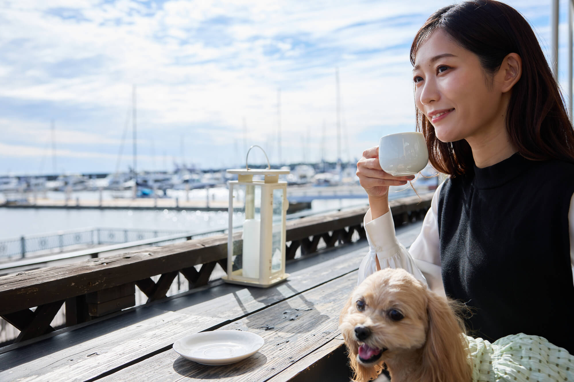 横浜のドッグカフェ特集！ペットOK施設人気ランキング【2023年】